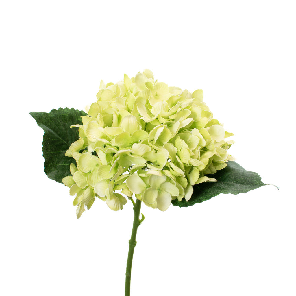 Hydrangea Limelight Green 13"