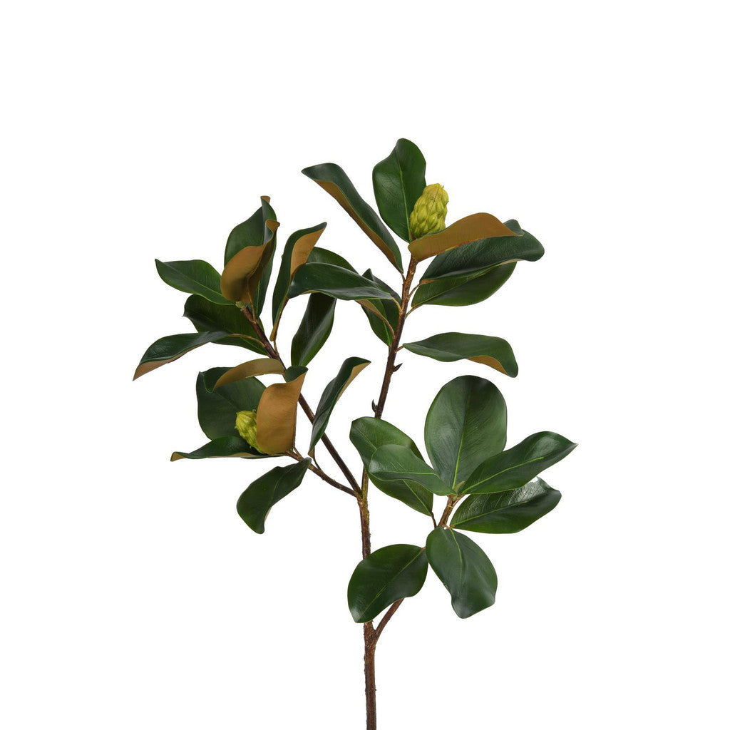 Real Touch Magnolia Leaf Branch 44" Set of 2