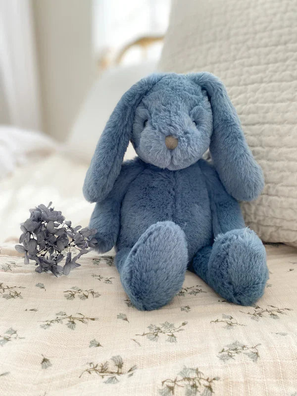 BLUE BUNNY