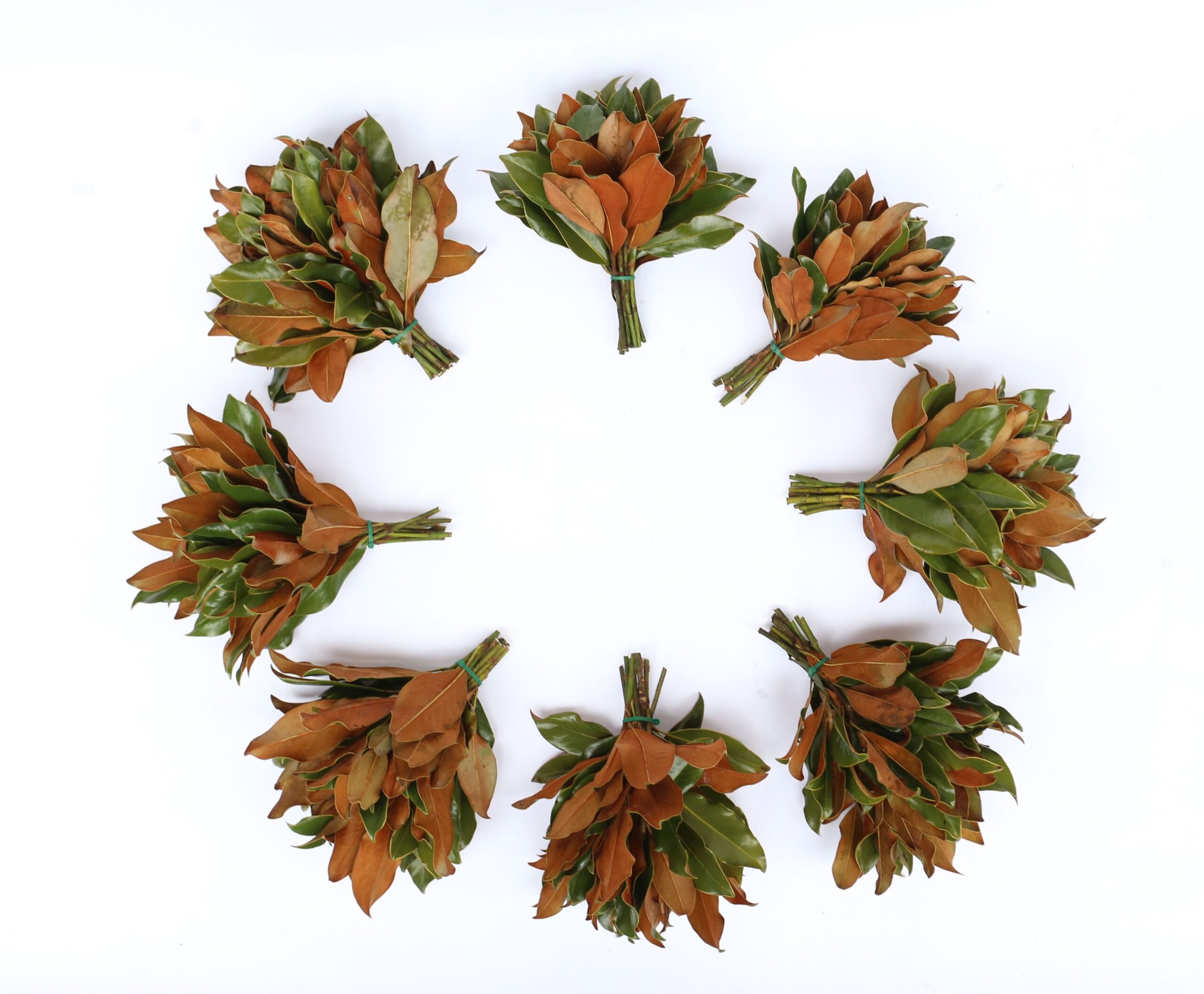 Fresh Magnolia Mini Bouquets Set of 8