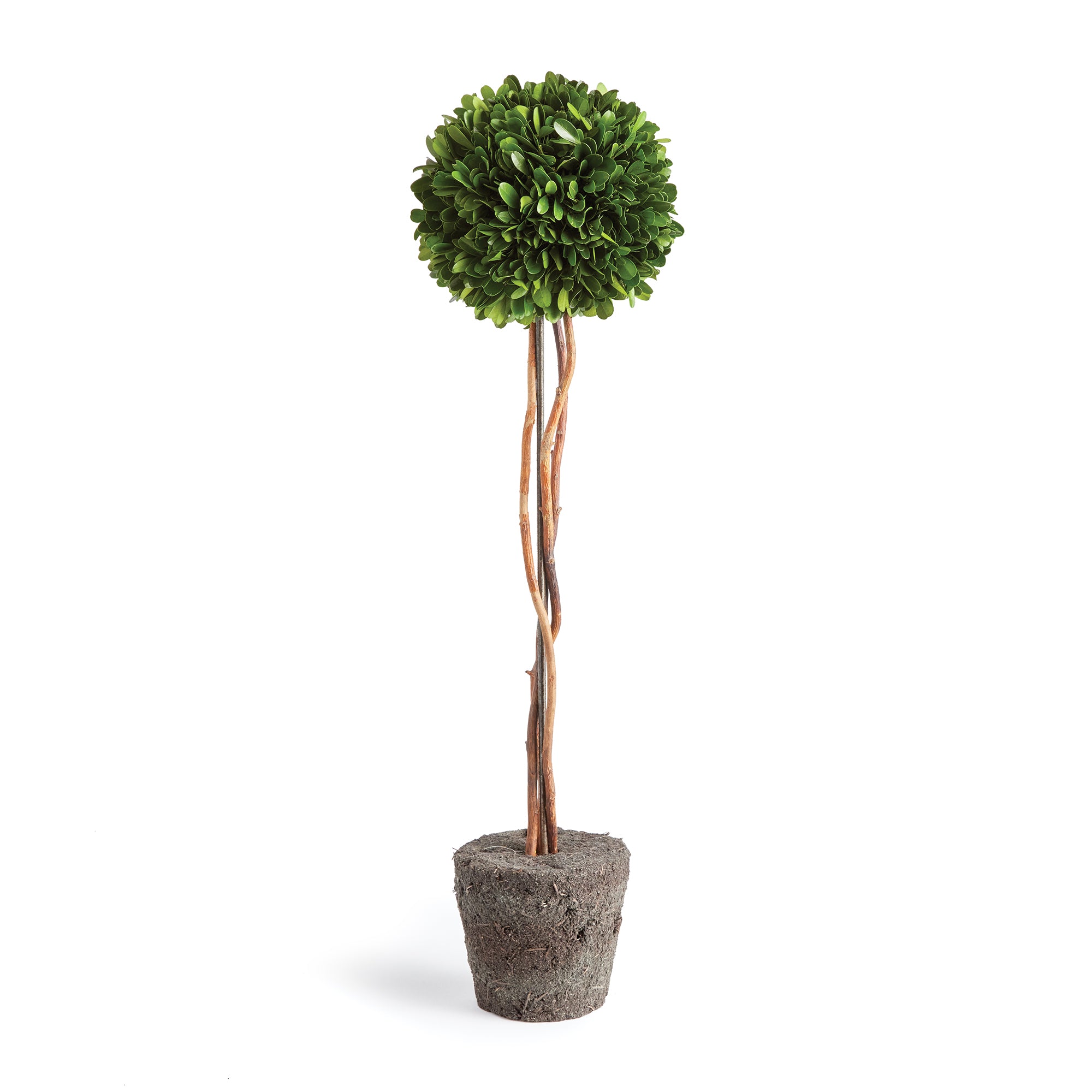 Boxwood Single Sphere Topiary Drop-In