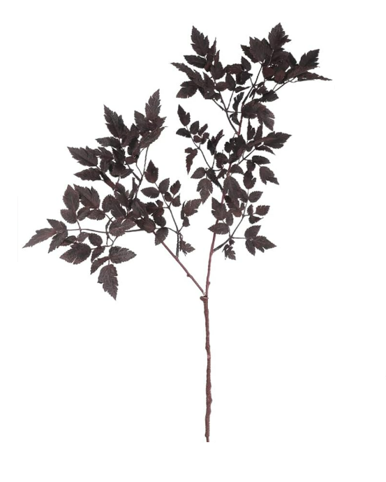 Plum Cimicifuga Ramosa Leaf Branch 32"