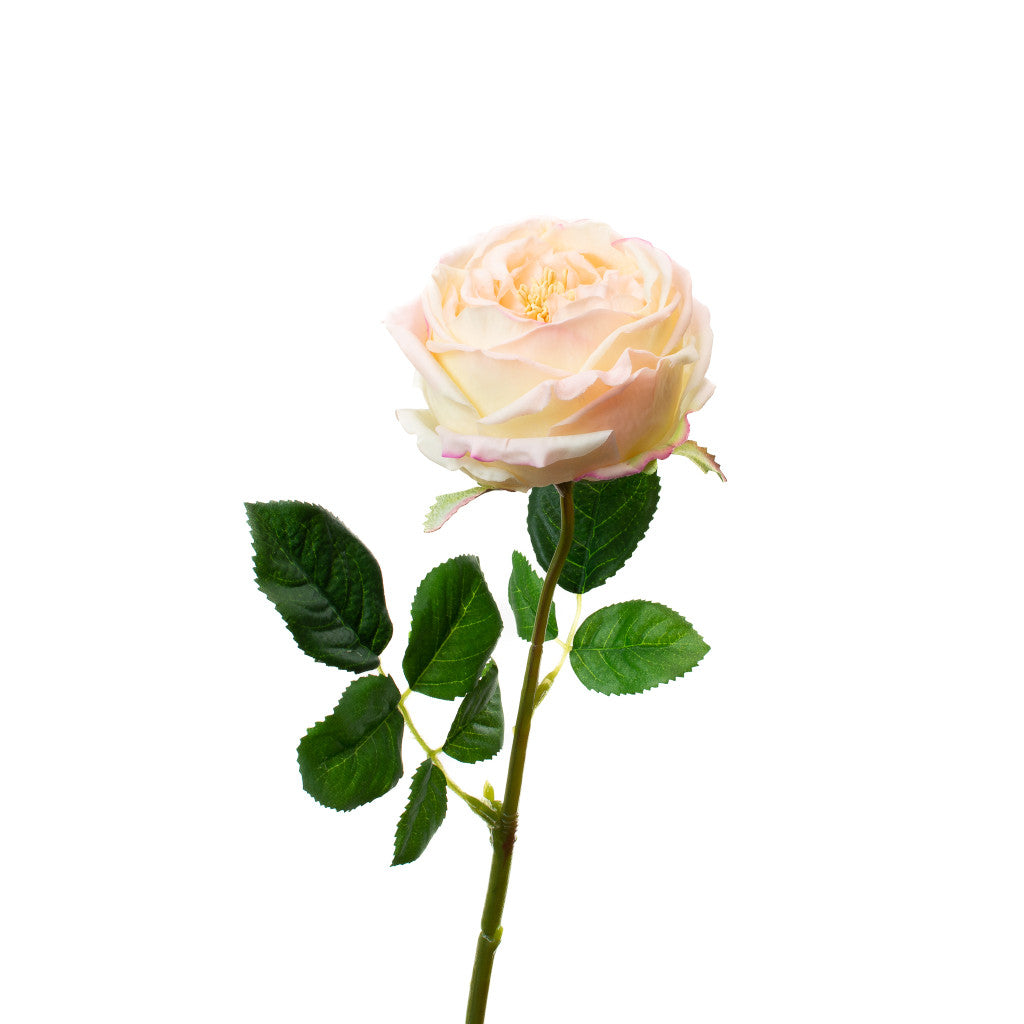 Real Touch English Rose Blush Pink 17"