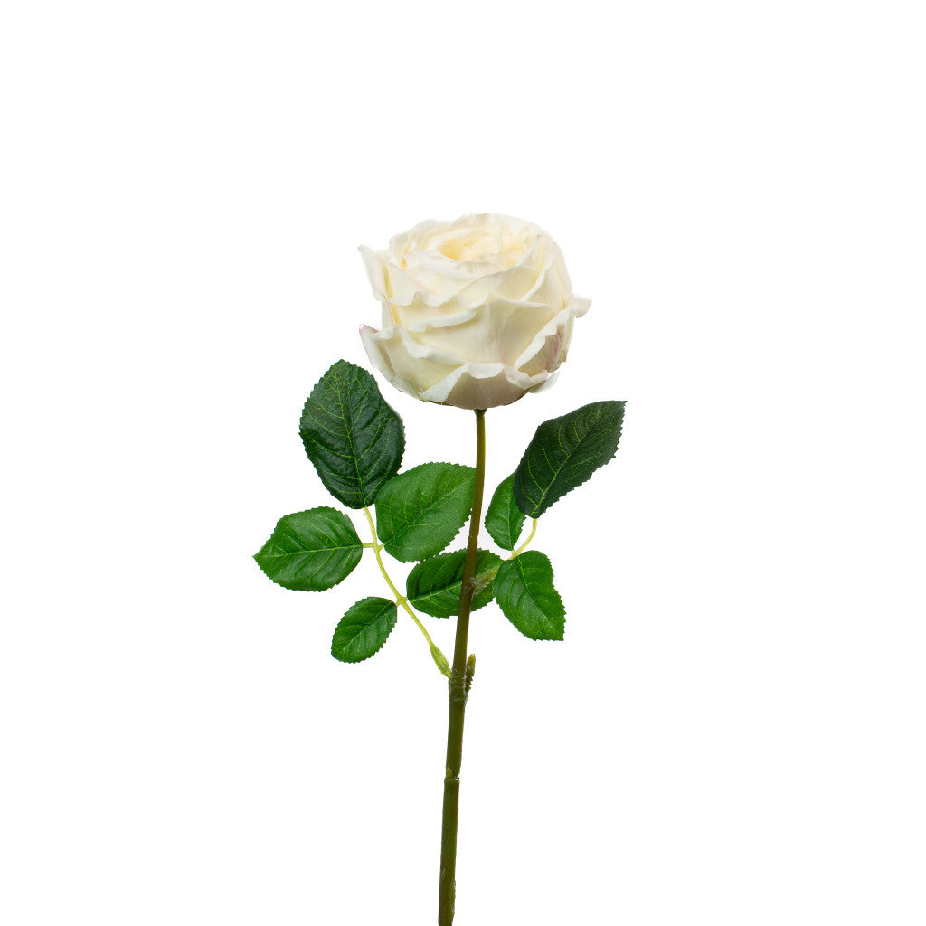 Real Touch English Rose Champagne 17"