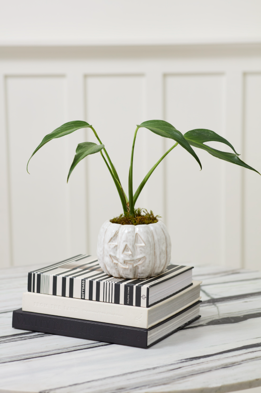 Pumpkin Pot