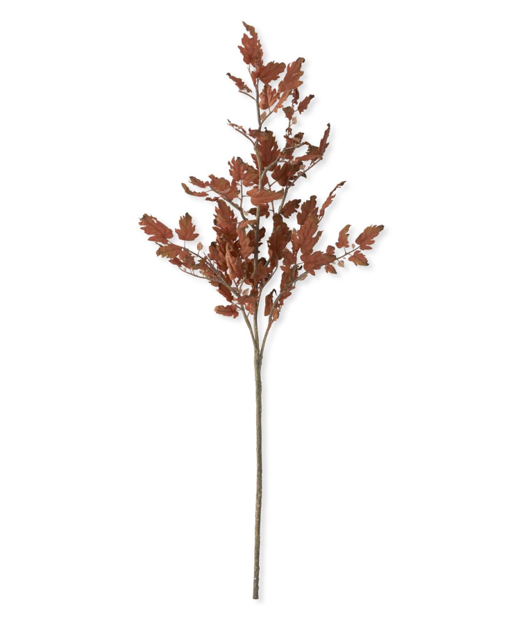 Oak Branch