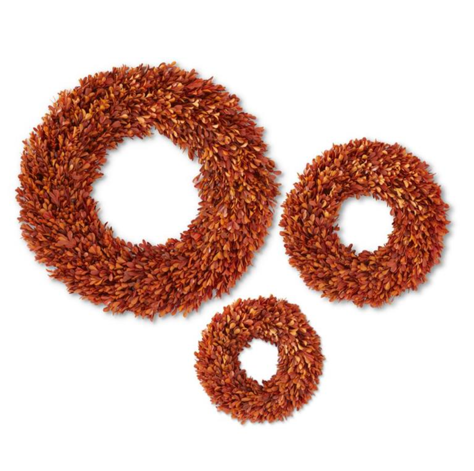 Haven Signature Autumn Preserved Boxwood Wreath