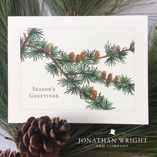 Pine Bough Season's Greetings Card