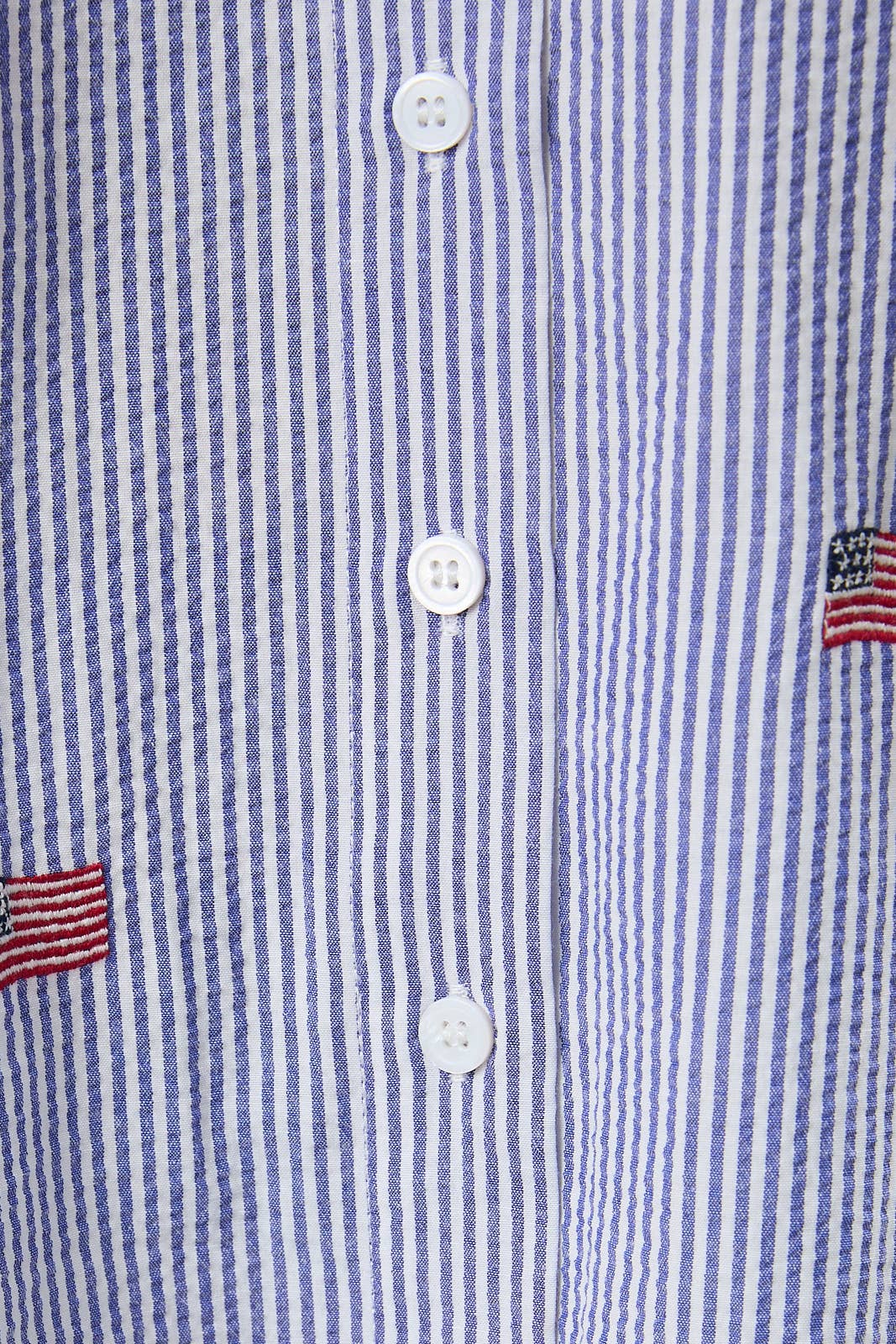 Charleston Button Down