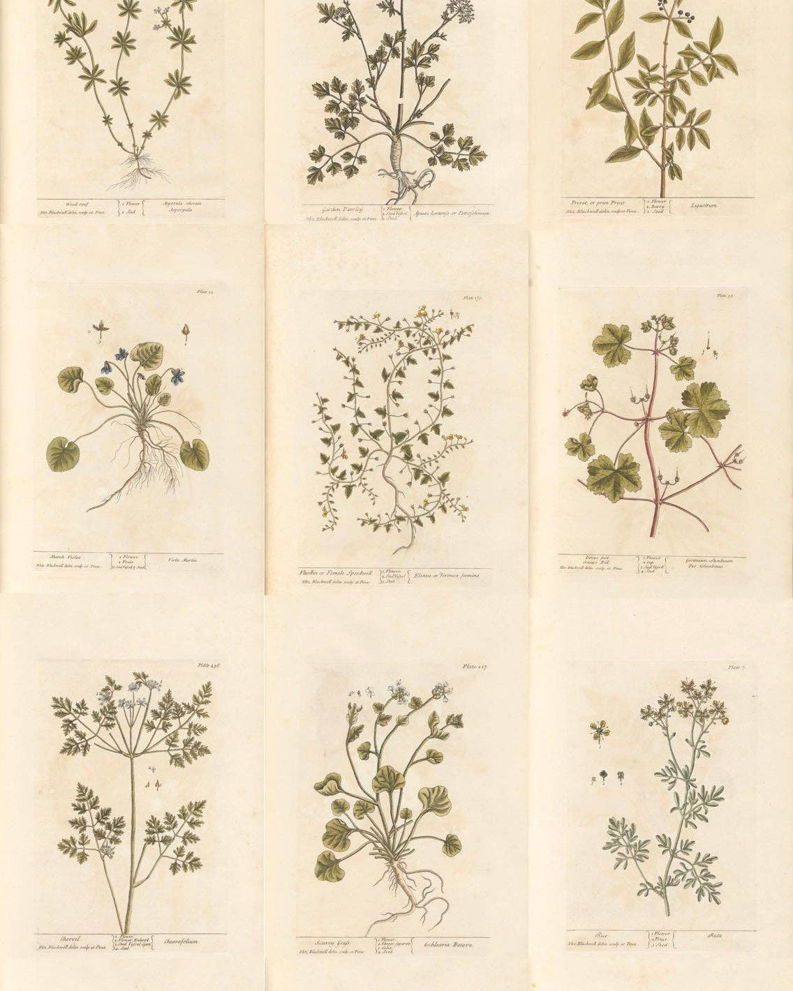 Antique Tags