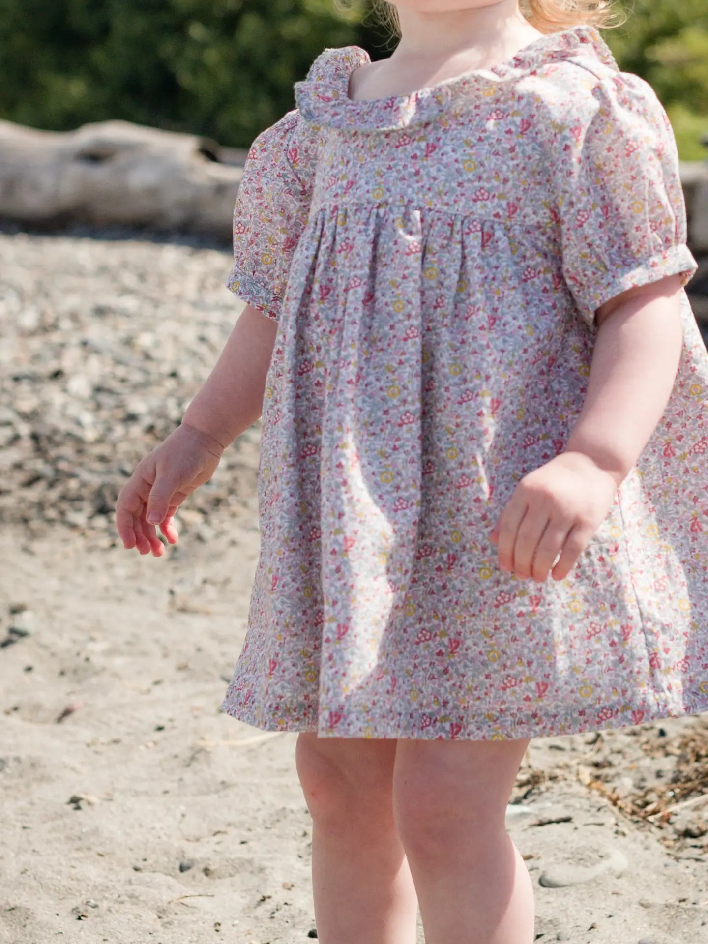 Emily Dress - Meadow Floral