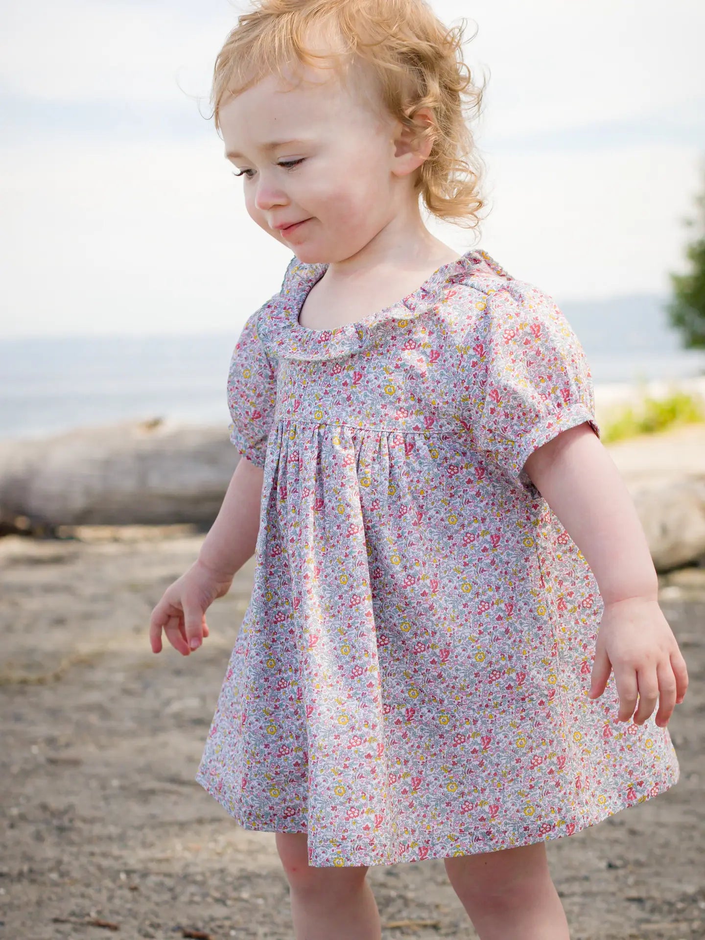 Emily Dress - Meadow Floral