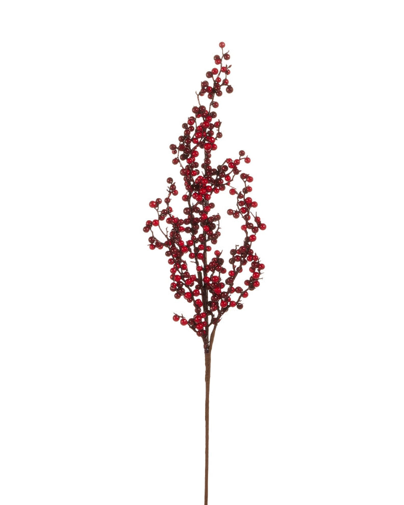 Berry Branch