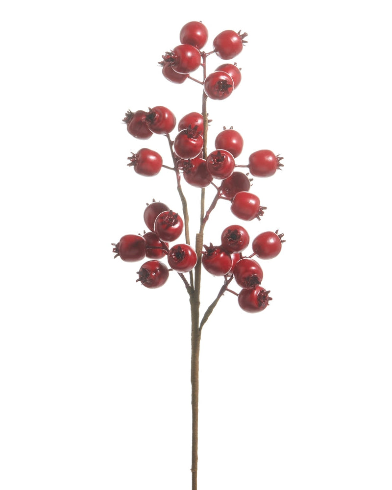 Red Berry Pod Spray