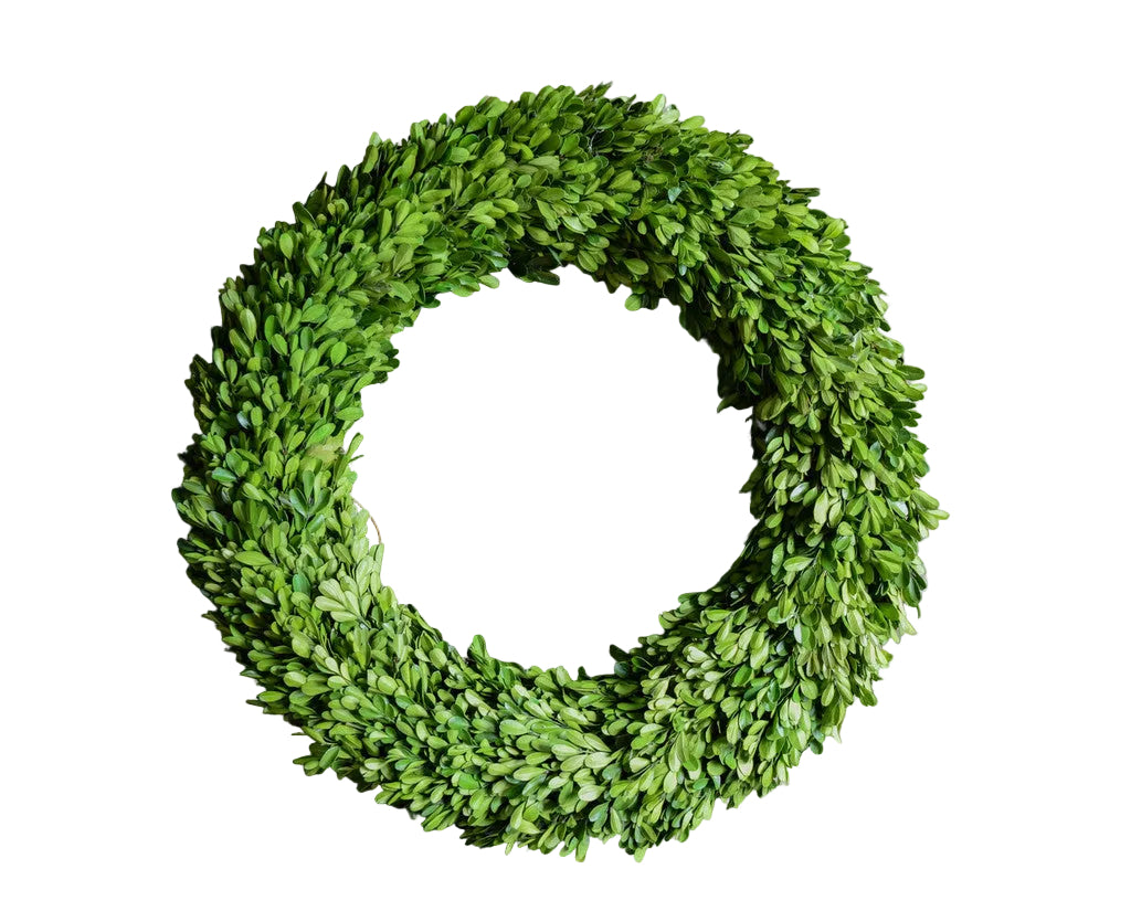 Preserved Boxwood Country Manor Round Wreath 24"