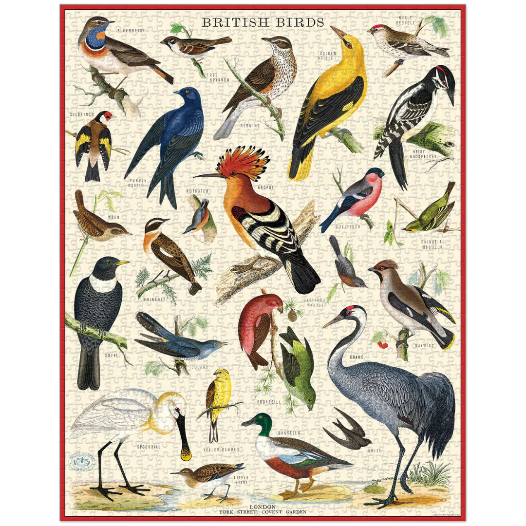British Birds Puzzle