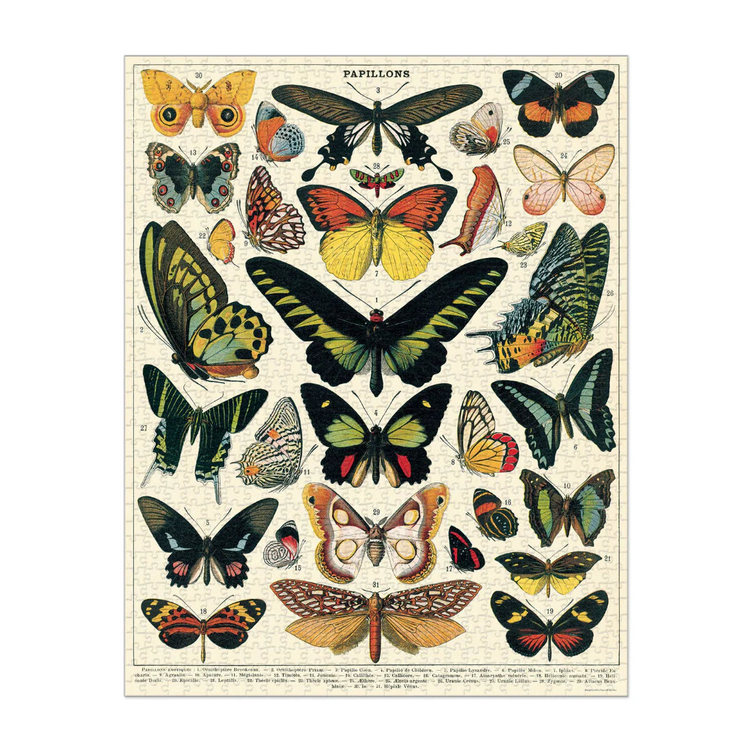 World of Butterflies Puzzle