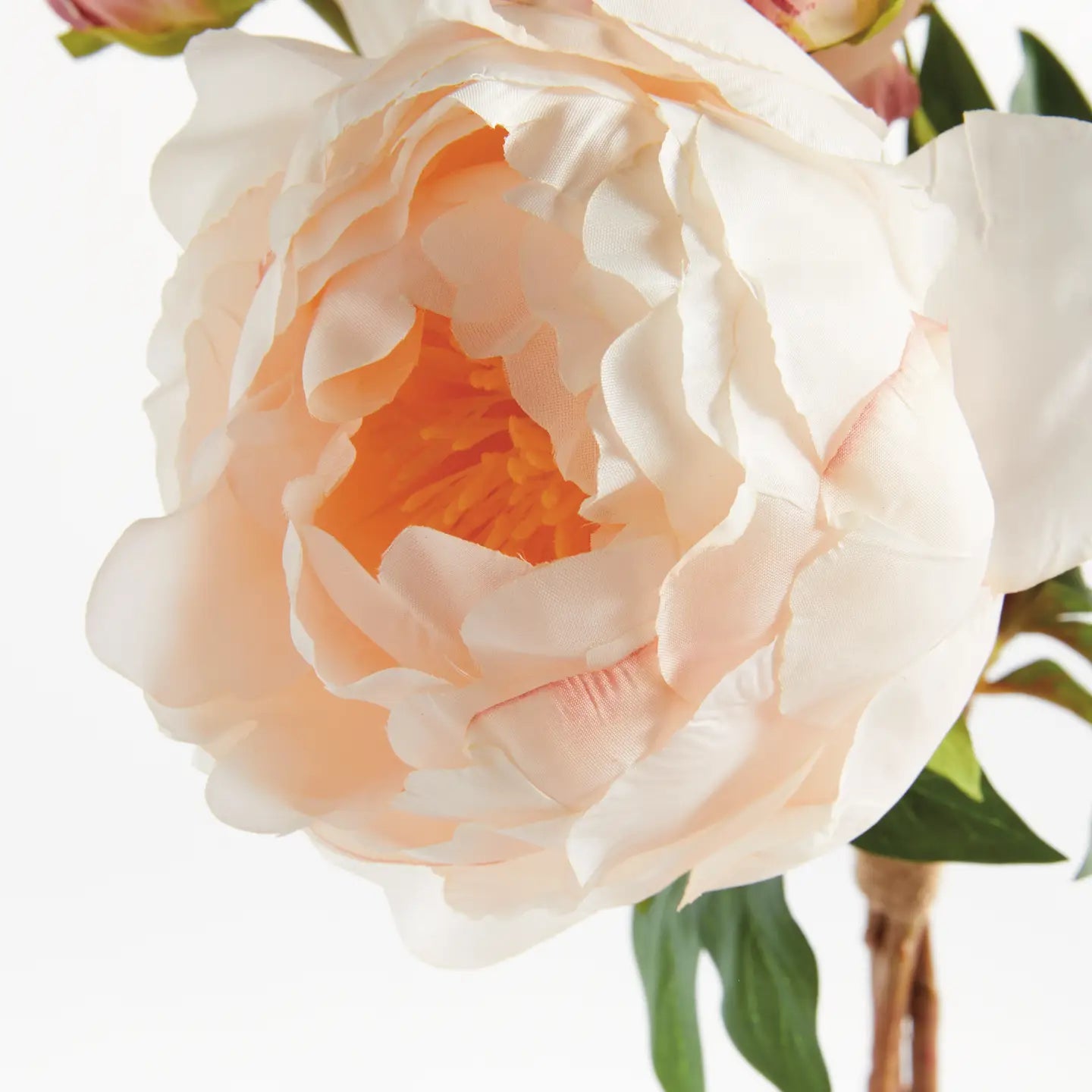 Peonies 21", Light Pink Light Coral  (Bundle of 3 stems)