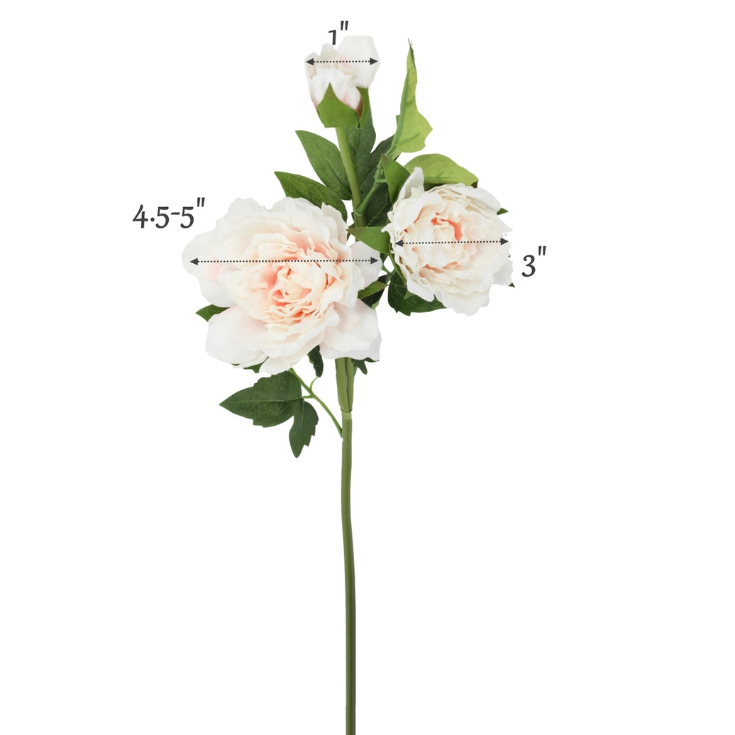 26"Premium lifelike Real Touch Peony Stem-2 flowers 1 bud