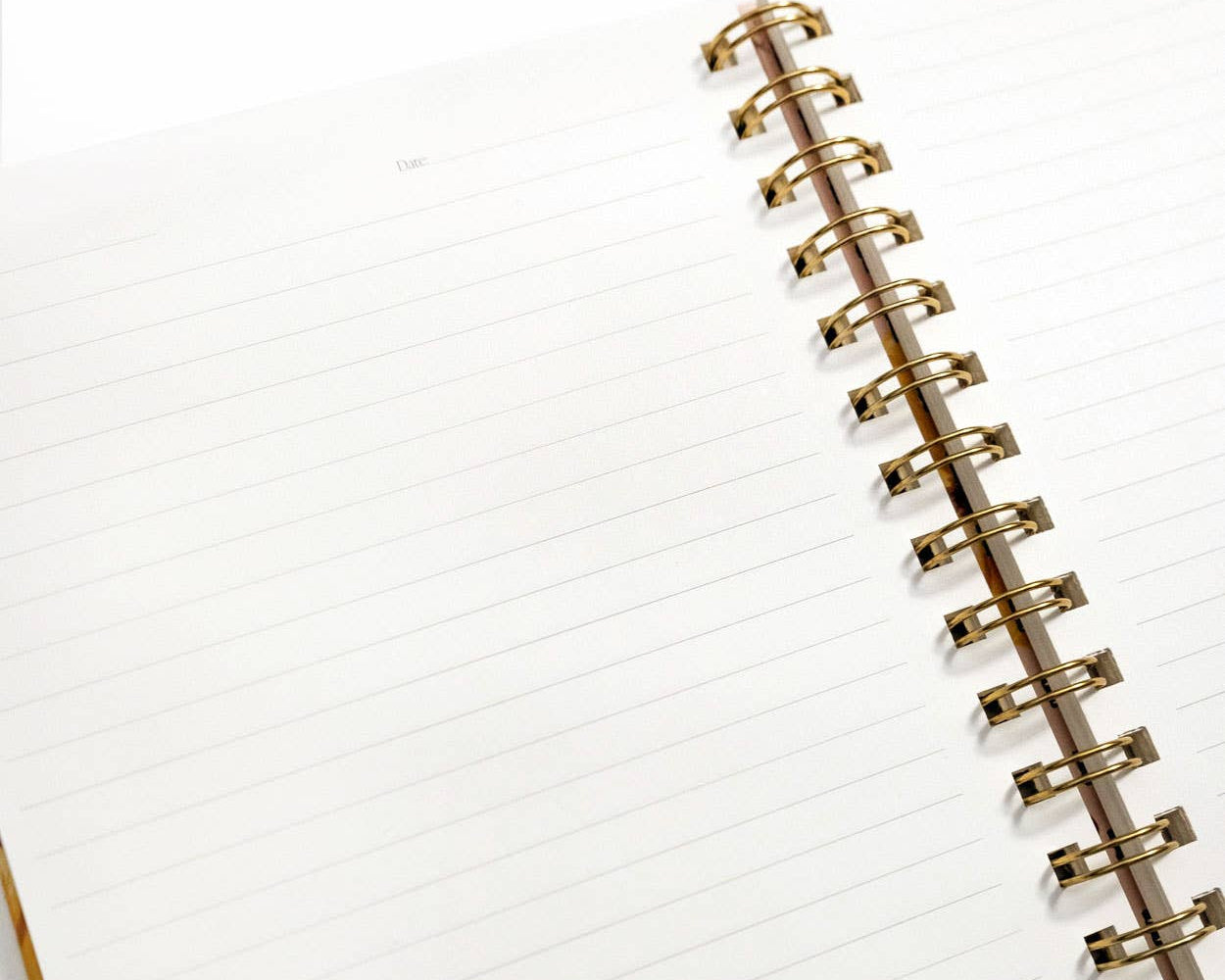 Orchard Notebook