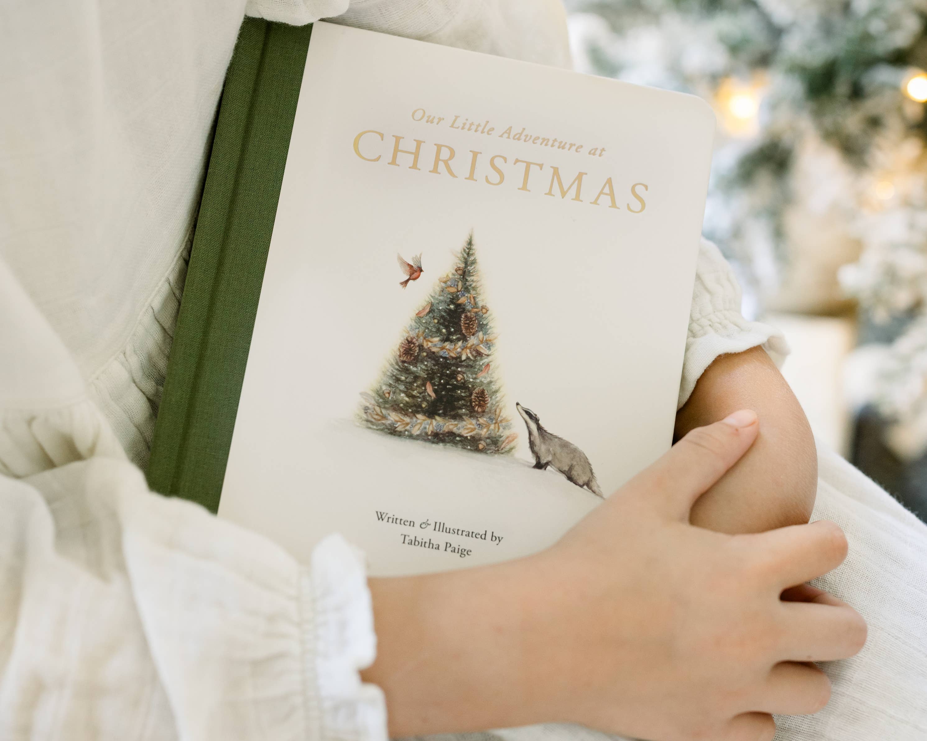 Our Little Adventure at Christmas