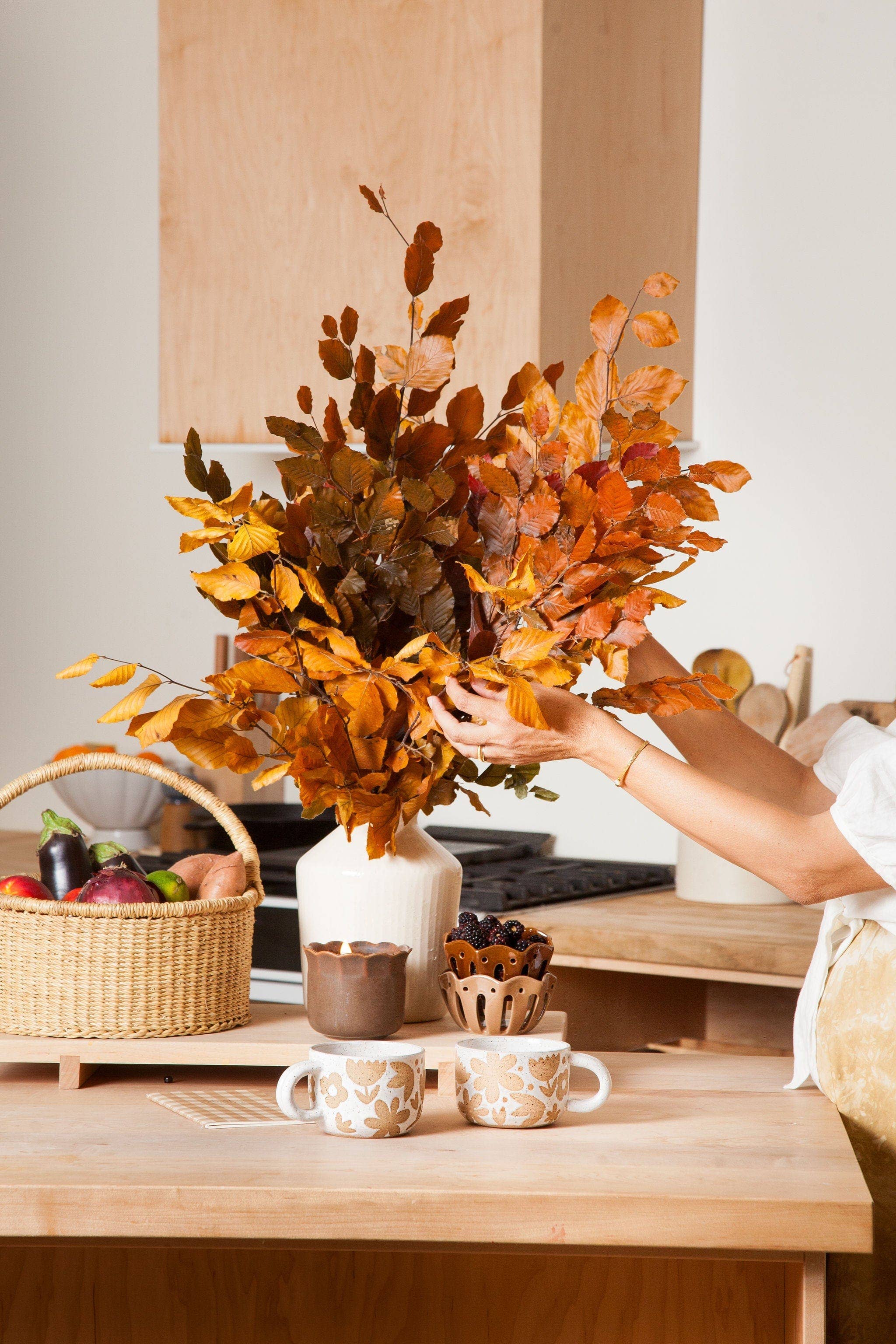 Preserved Copper Beech Stems