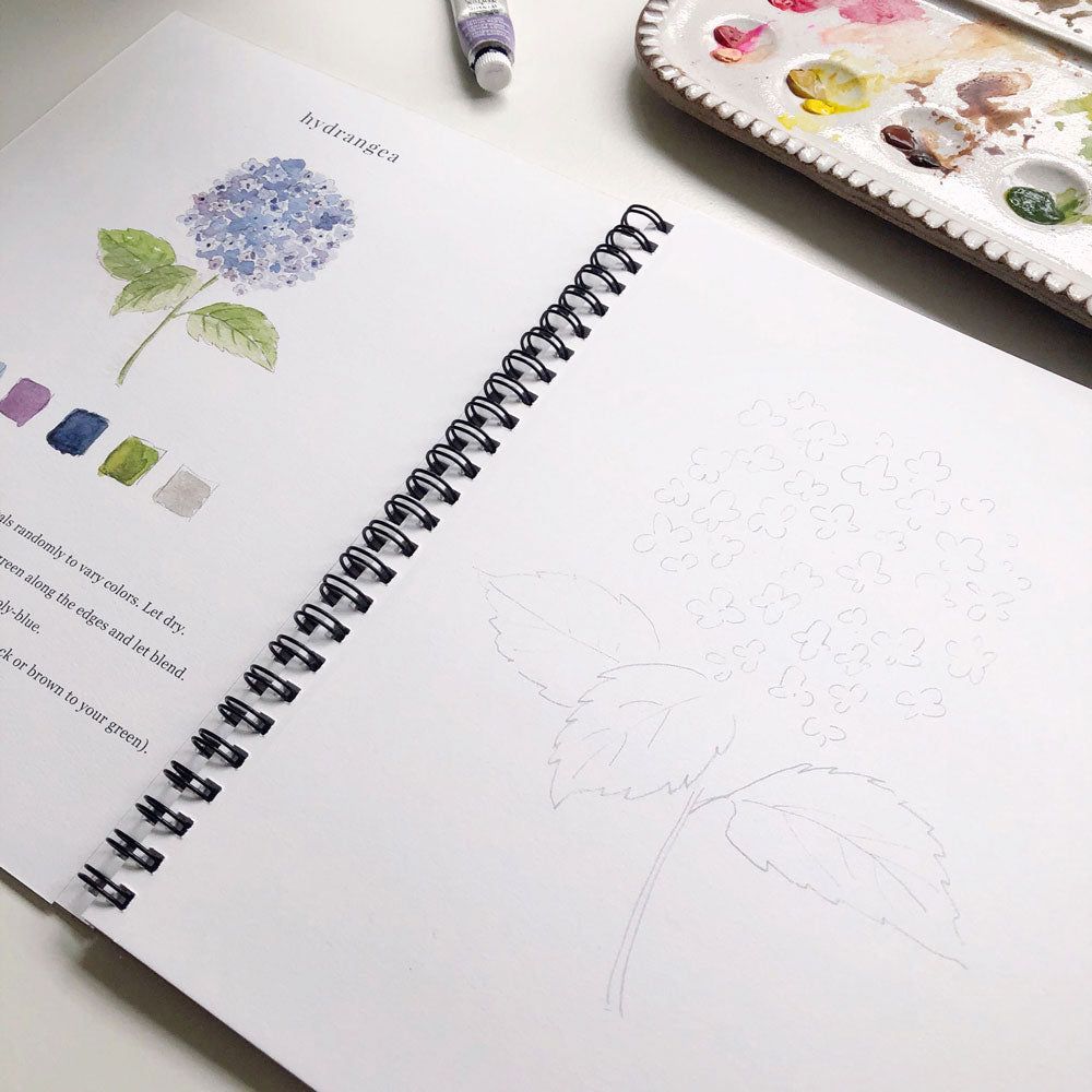 Emily Lex Watercolor Workbook