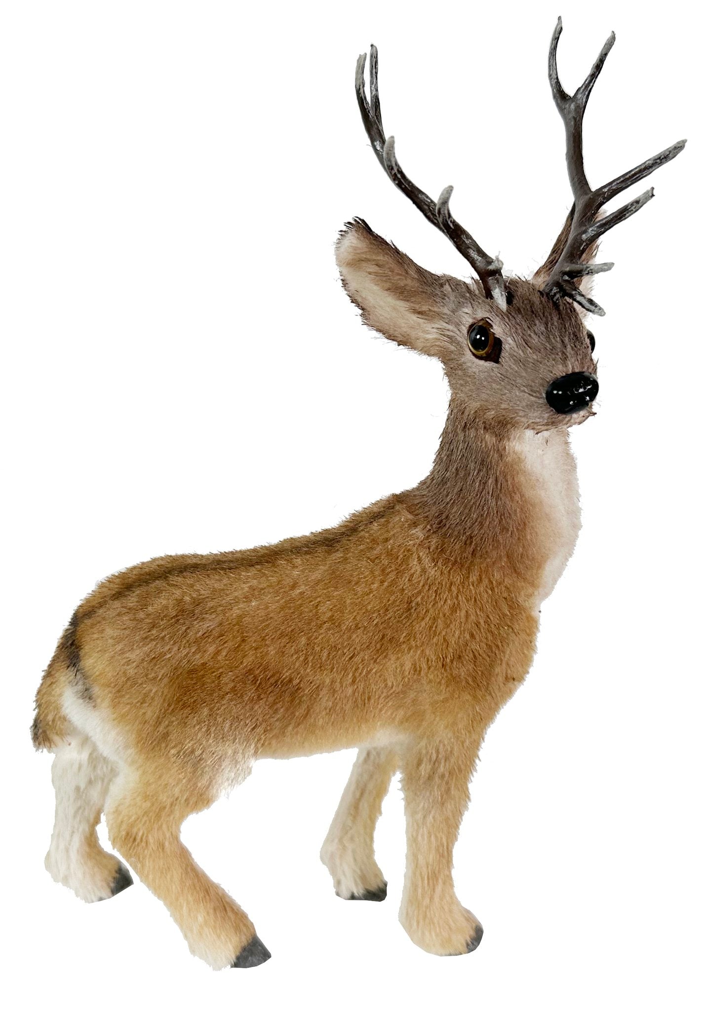 Deer Brown