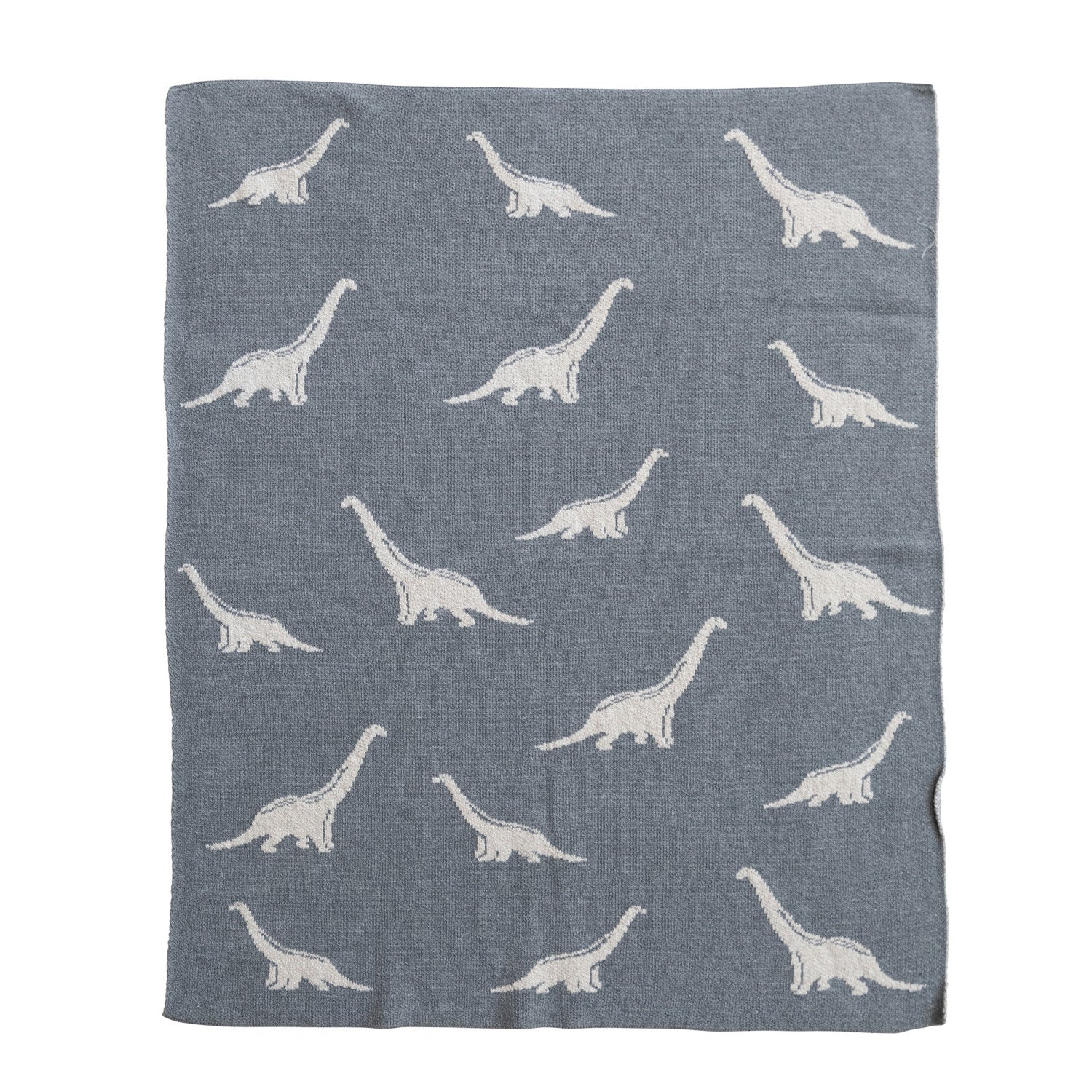Dino Dreams Baby Blanket