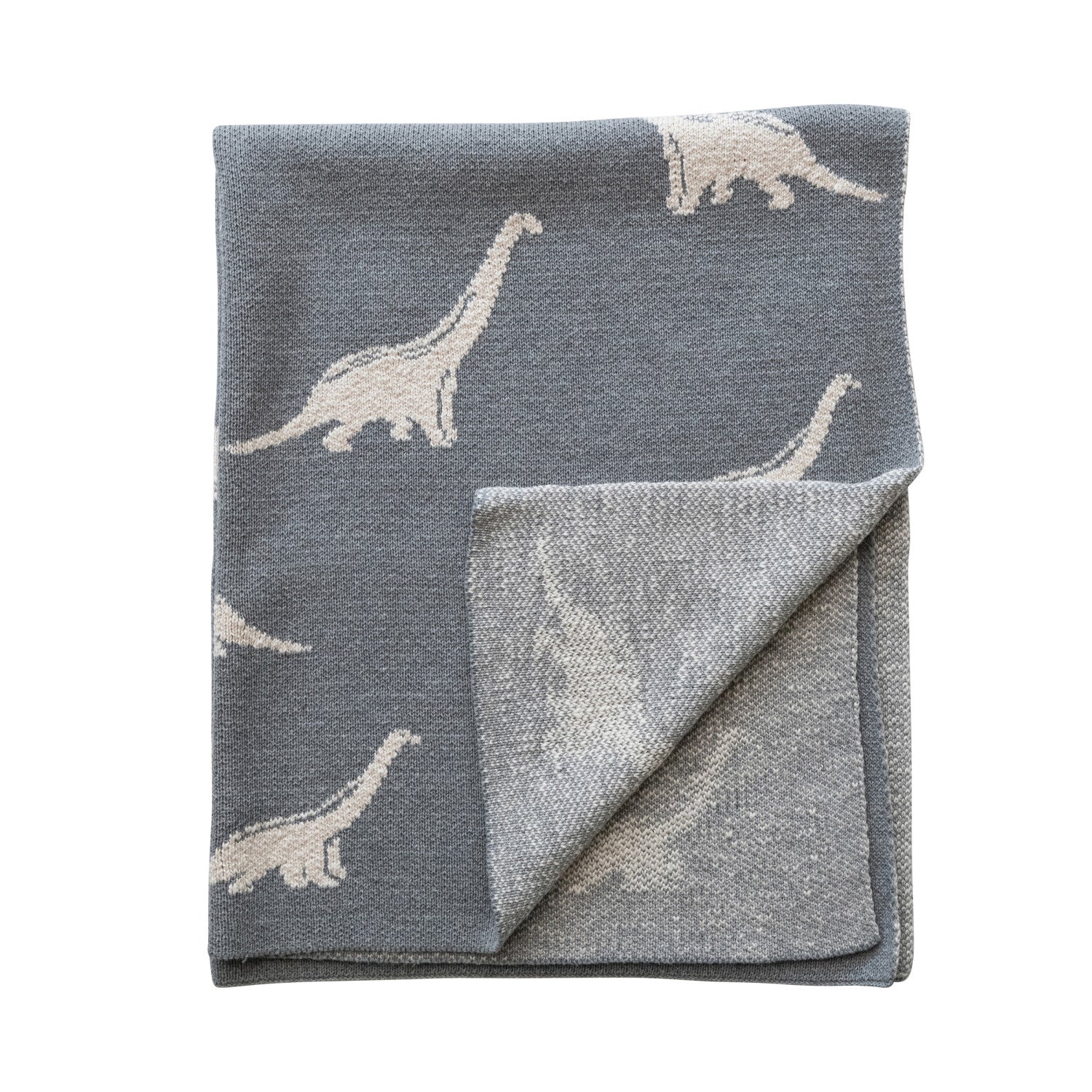Dino Dreams Baby Blanket