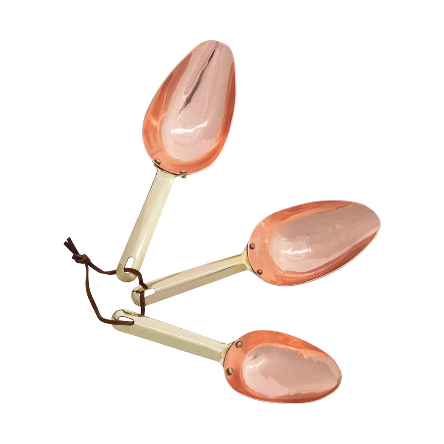 Stainless Steel Scoops with Leather Tie