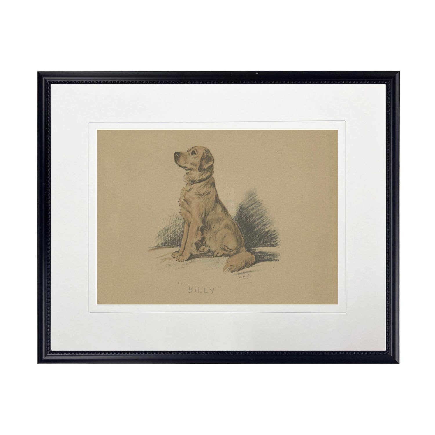 Dog Sketch