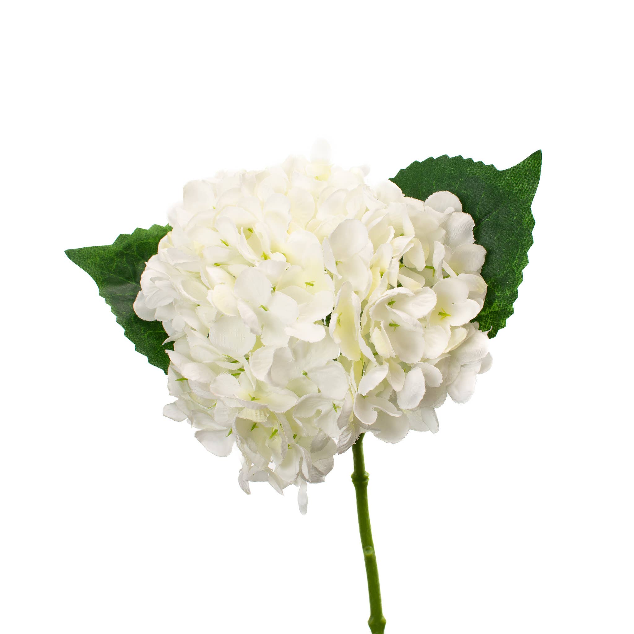 Hydrangea Stem Lace White Bundle