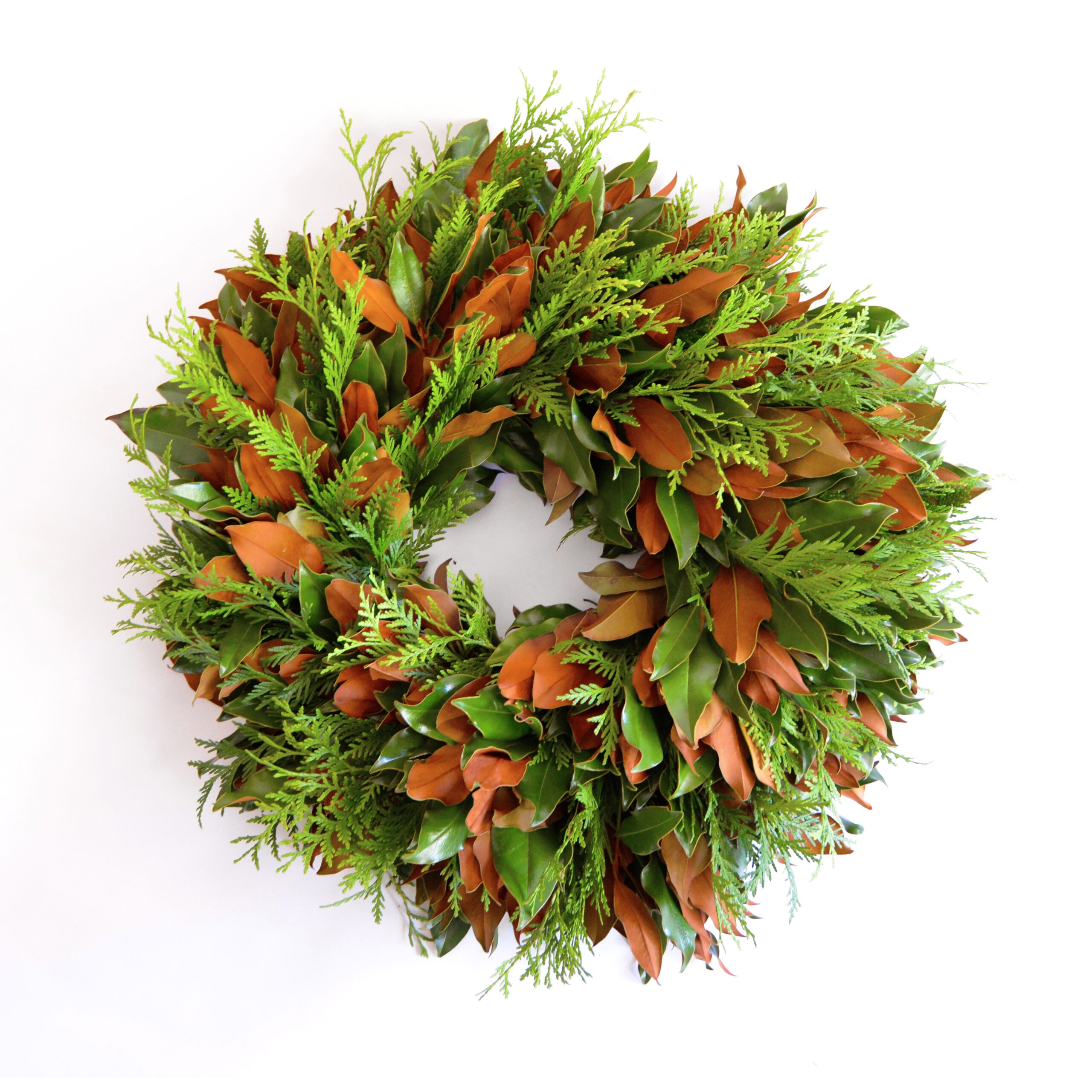 Fresh Holiday Cedar and Magnolia 28″ Wreath