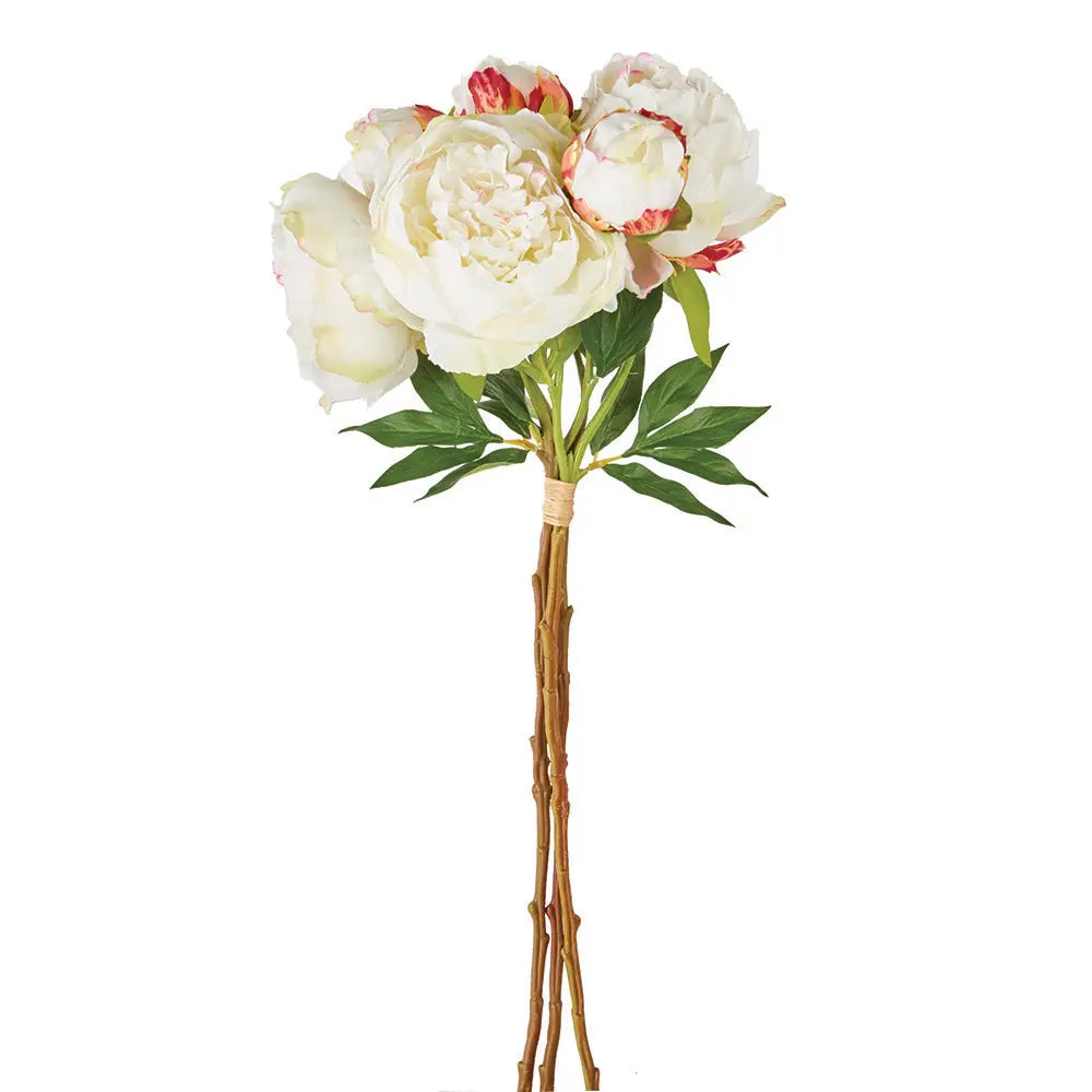 Peonies 21", Bundle of 3-Cream (Bundle of 3 Stems)