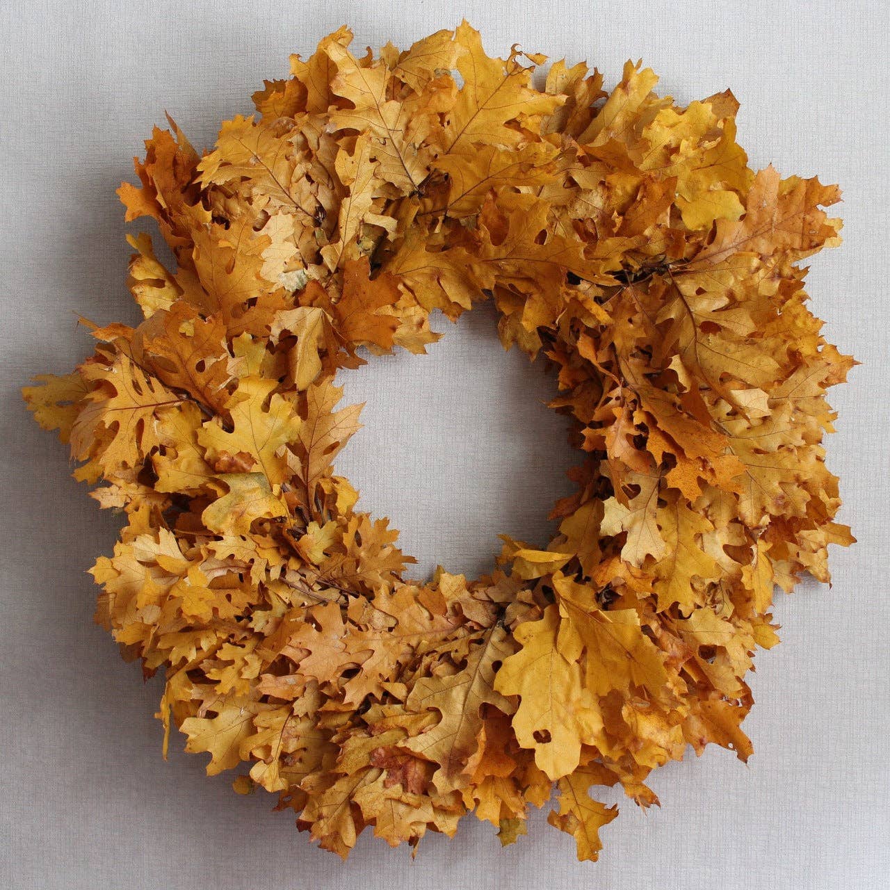 Preserved Oak Leaves Wreath 24" Golden Yellow