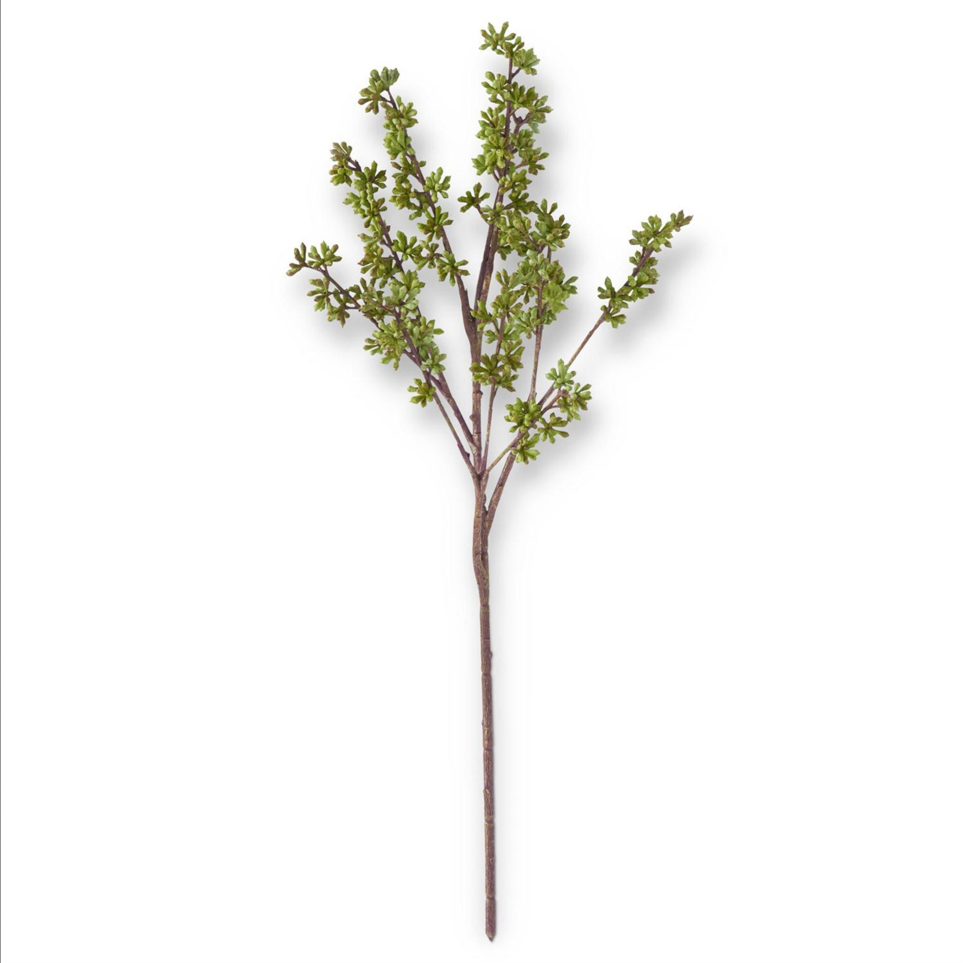 24.5 Inch Green Eucalyptus Berry Bud Stem