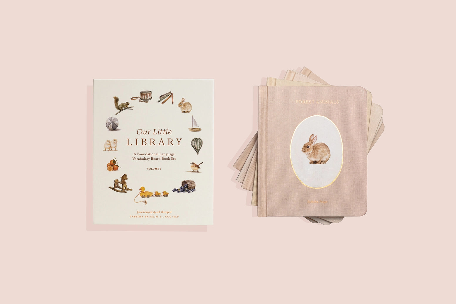 Our Little Library: A Foundational Language Vocabulary Board Book