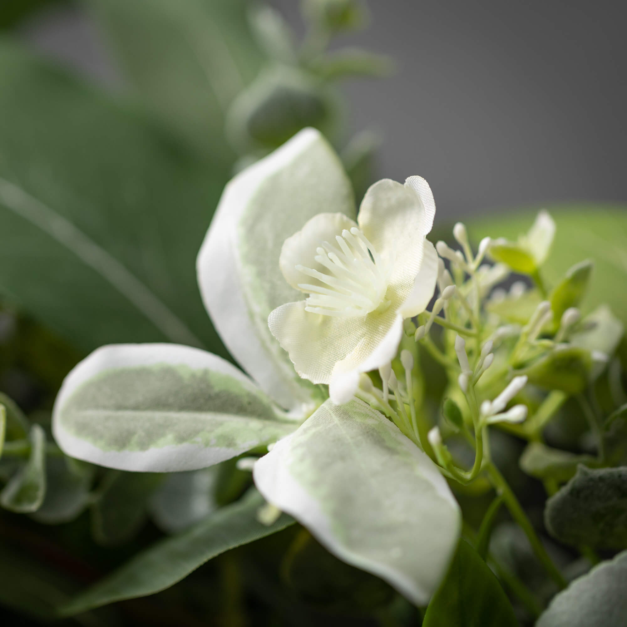 Spring  Eucalyptus Wreath