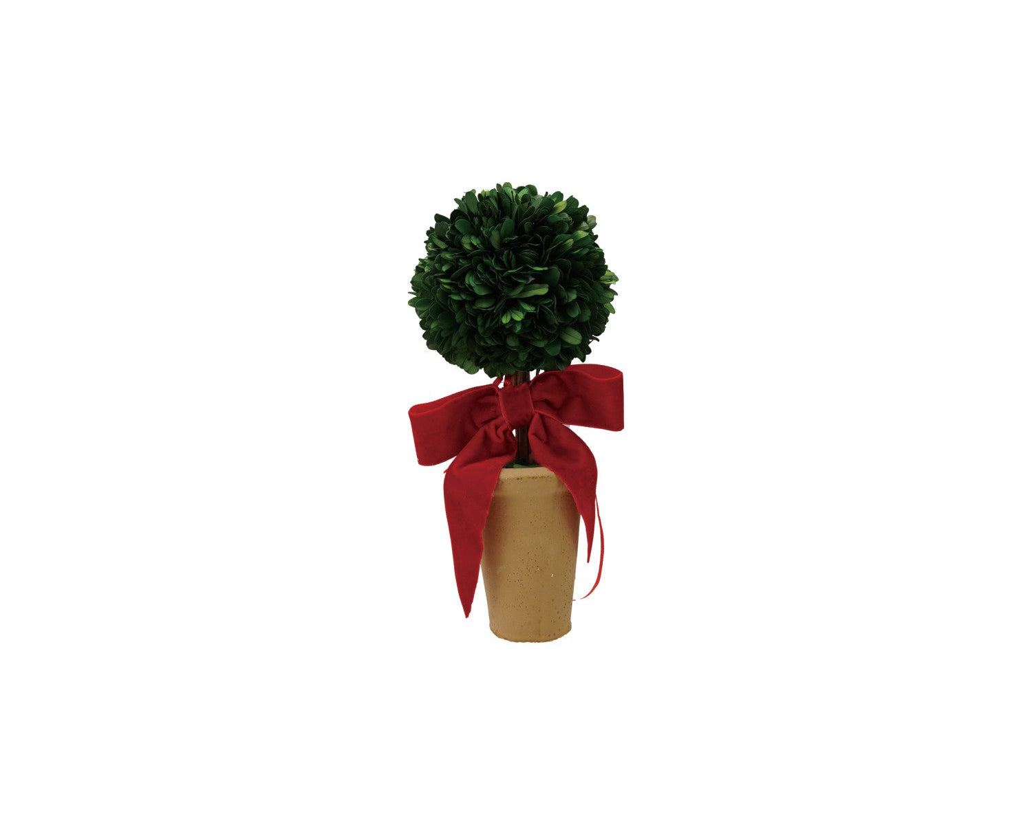 Boxwood Topiary
