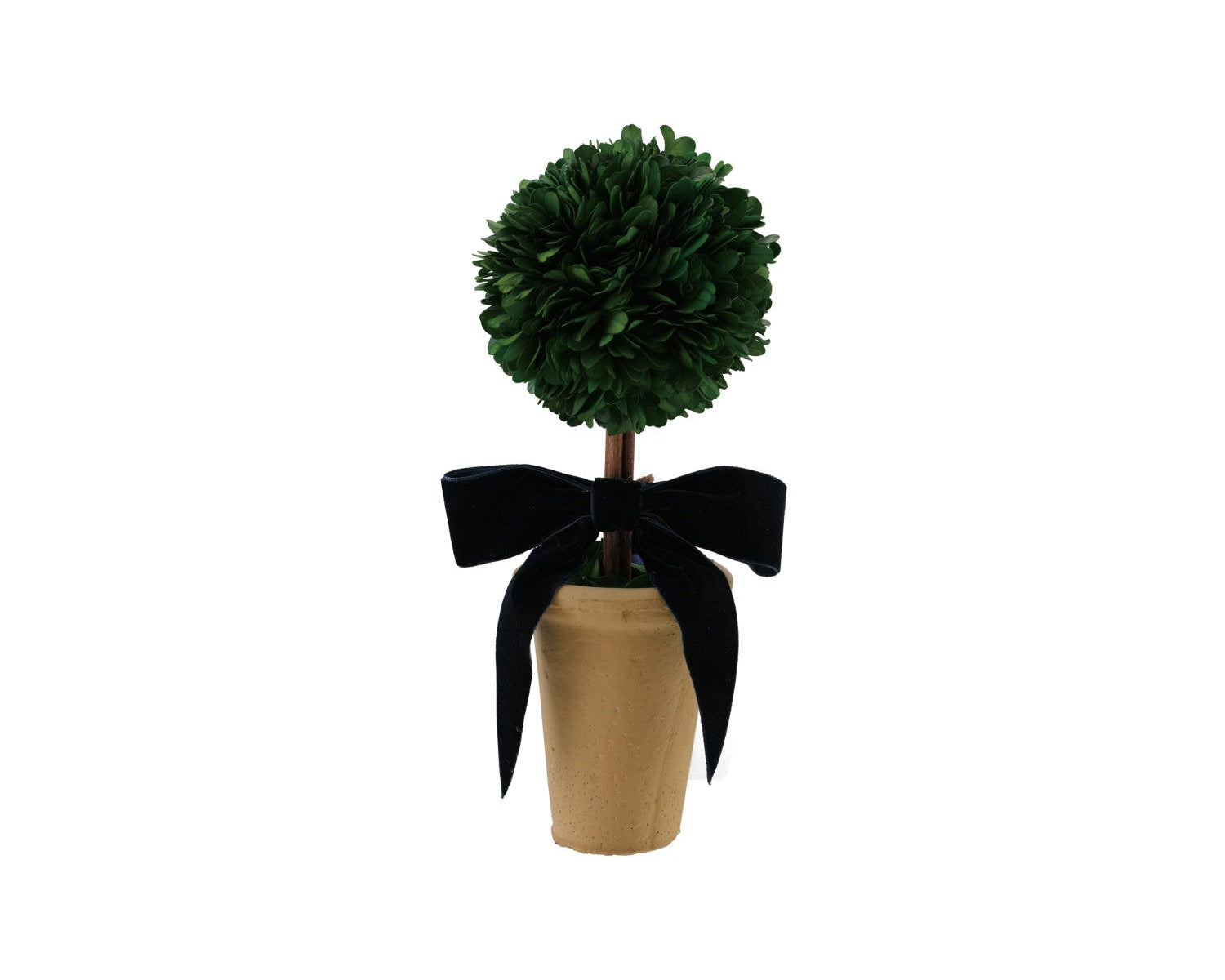 Boxwood Topiary