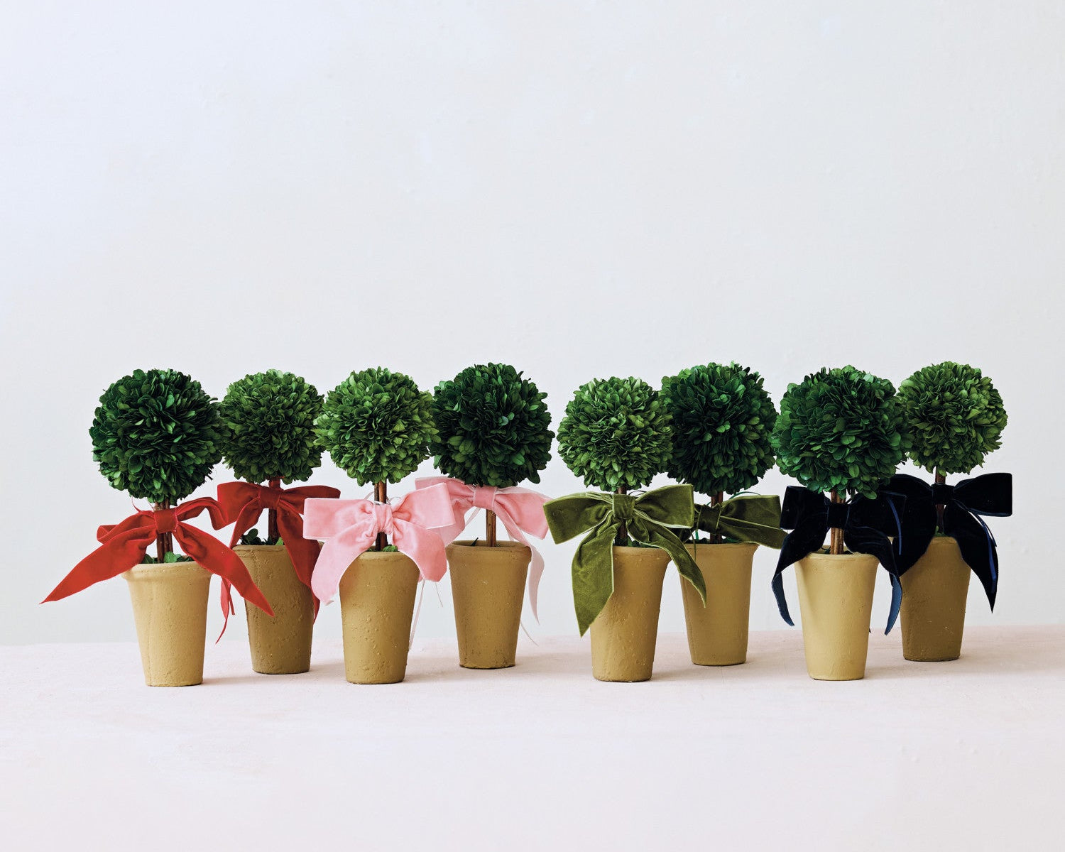 Boxwood Topiary