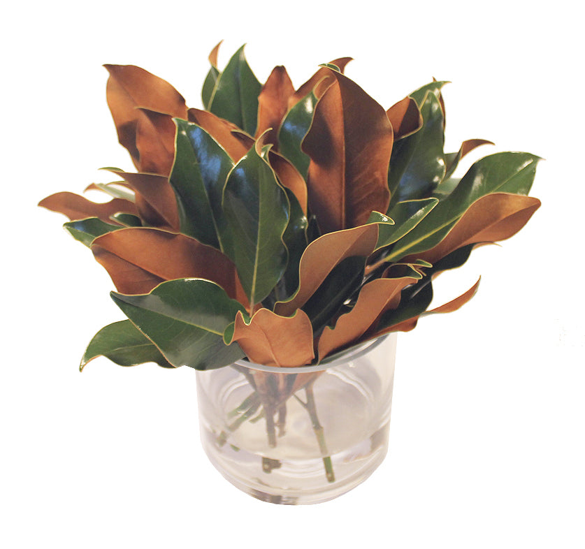 Fresh Magnolia 12″ Hand-Tied Bouquet Set of 4
