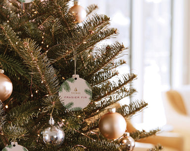 Thymes Frasier Fir Decorative Sachet