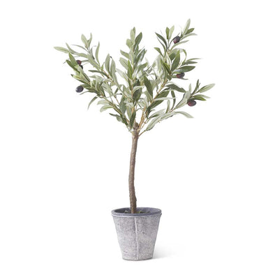 24 Inch Olive Tree w/ Gray Wash Pot
