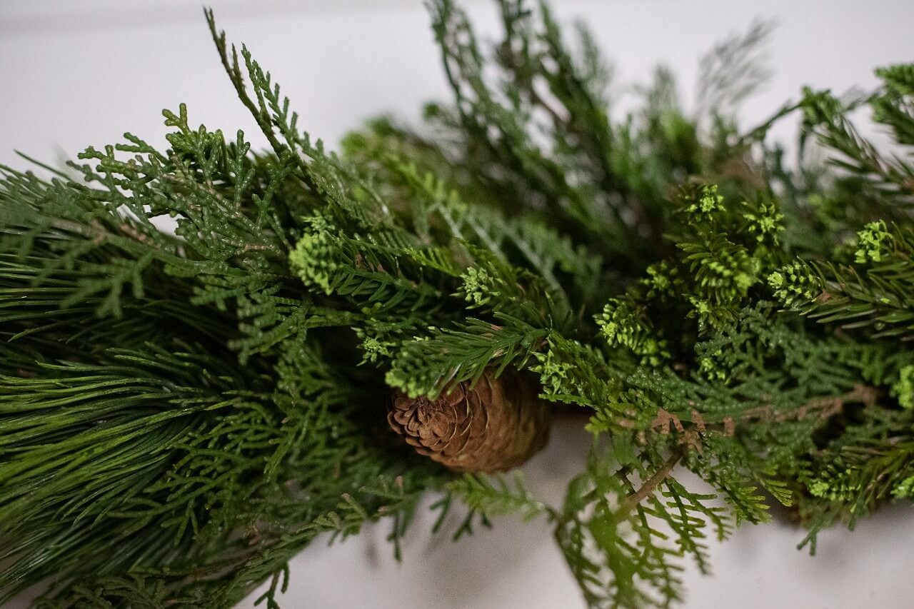 Regency Mixed Pine, Cedar and Pinecone Garland