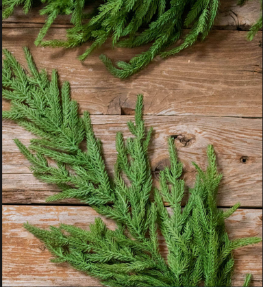 38” Natural Touch Norfolk Pine Spray Green