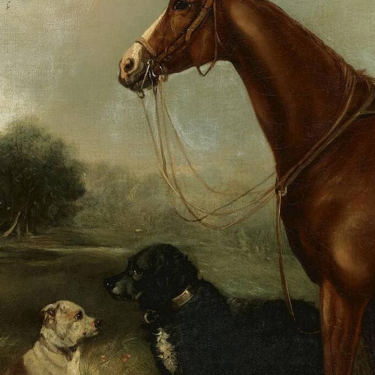 Chestnut Horse with Two Dogs Oil Painting Print On Canvas (16" x 20")