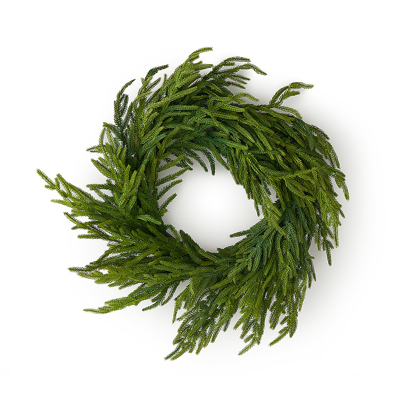 24” Just Cut Norfolk Pine Wreath Natural Green