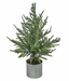 28"Potted Norfolk Pine Tree Natural Green
